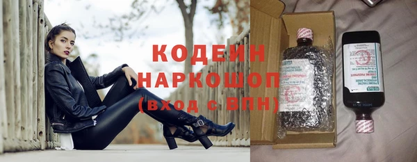 спиды Ельня