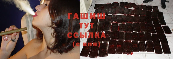спиды Ельня