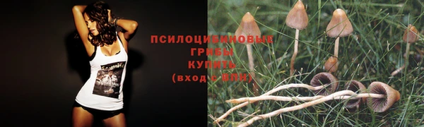 синтетический гашиш Елабуга