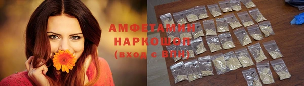 спиды Ельня