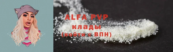 спиды Ельня