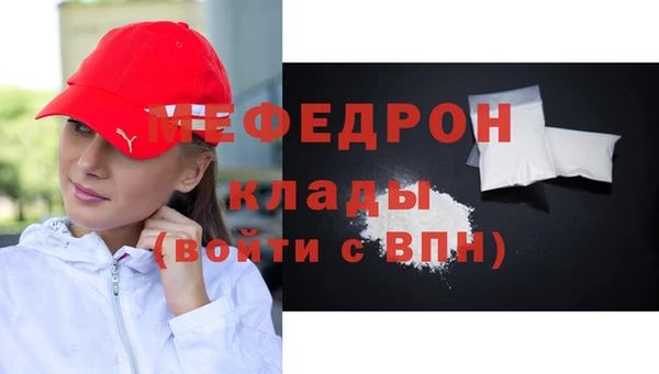 спиды Ельня