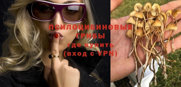 спиды Ельня