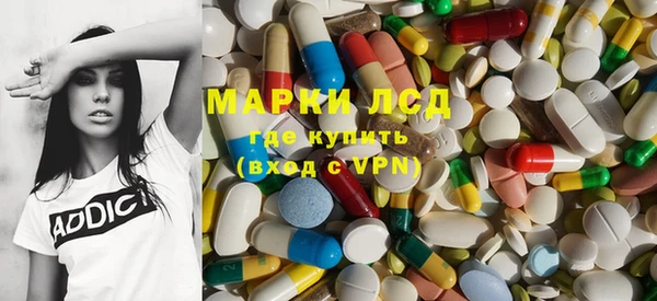 спиды Ельня