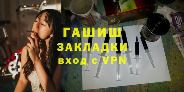 спиды Ельня