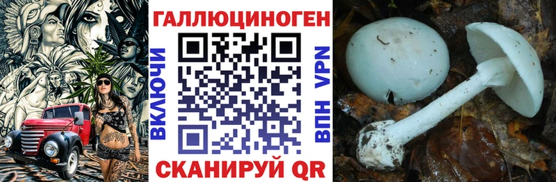 Купить закладки  Жуковка  Галлюциногенные грибы GOLDEN TEACHER 